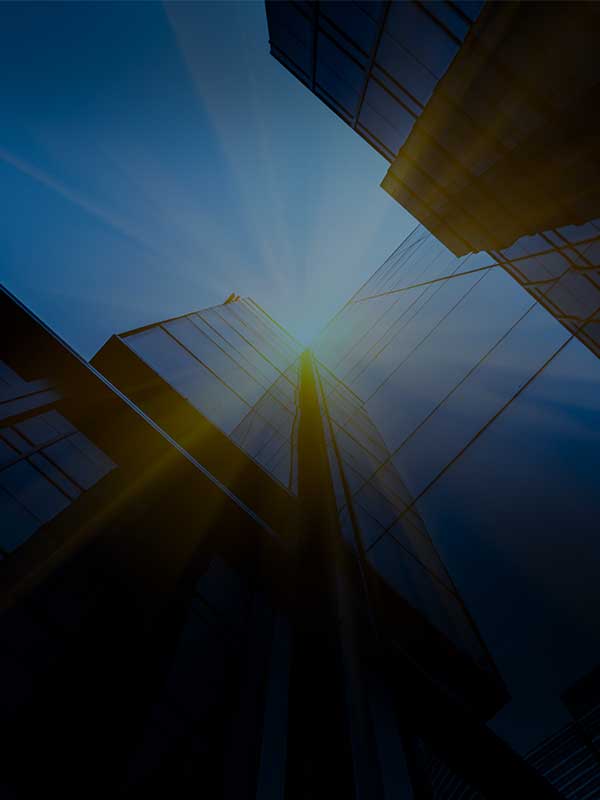 Public Sector projects