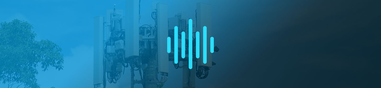Voice & Wireless Data Systems